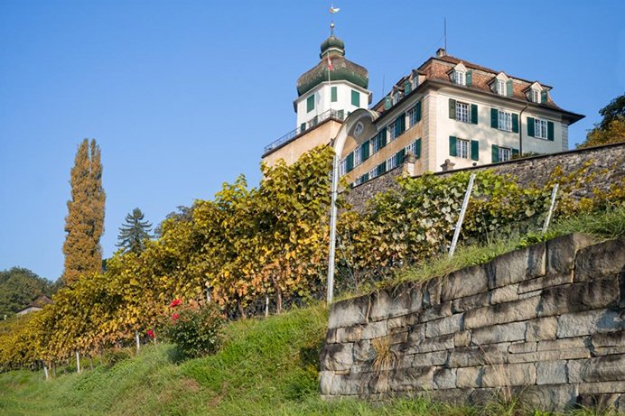 Schloss Grünenstein Branchenverband St. Galler Wein